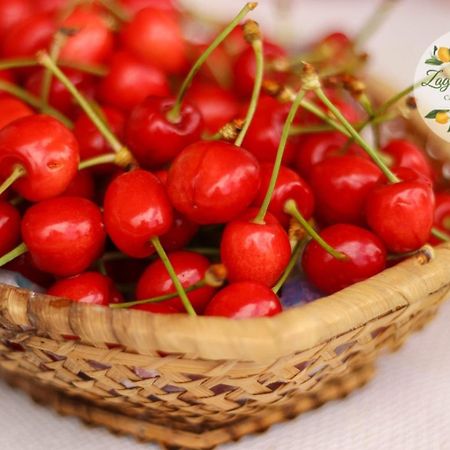 Zagare E Limoni Διαμέρισμα Ostuni Εξωτερικό φωτογραφία