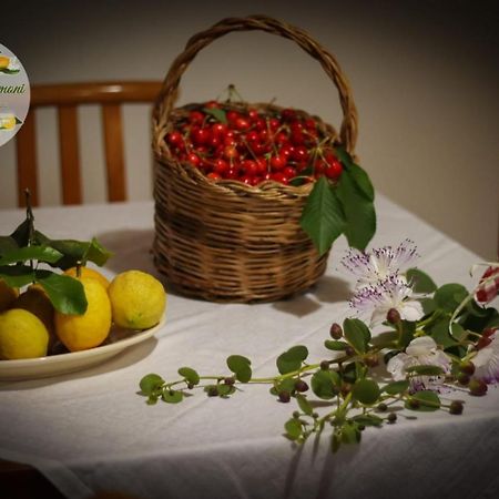 Zagare E Limoni Διαμέρισμα Ostuni Εξωτερικό φωτογραφία