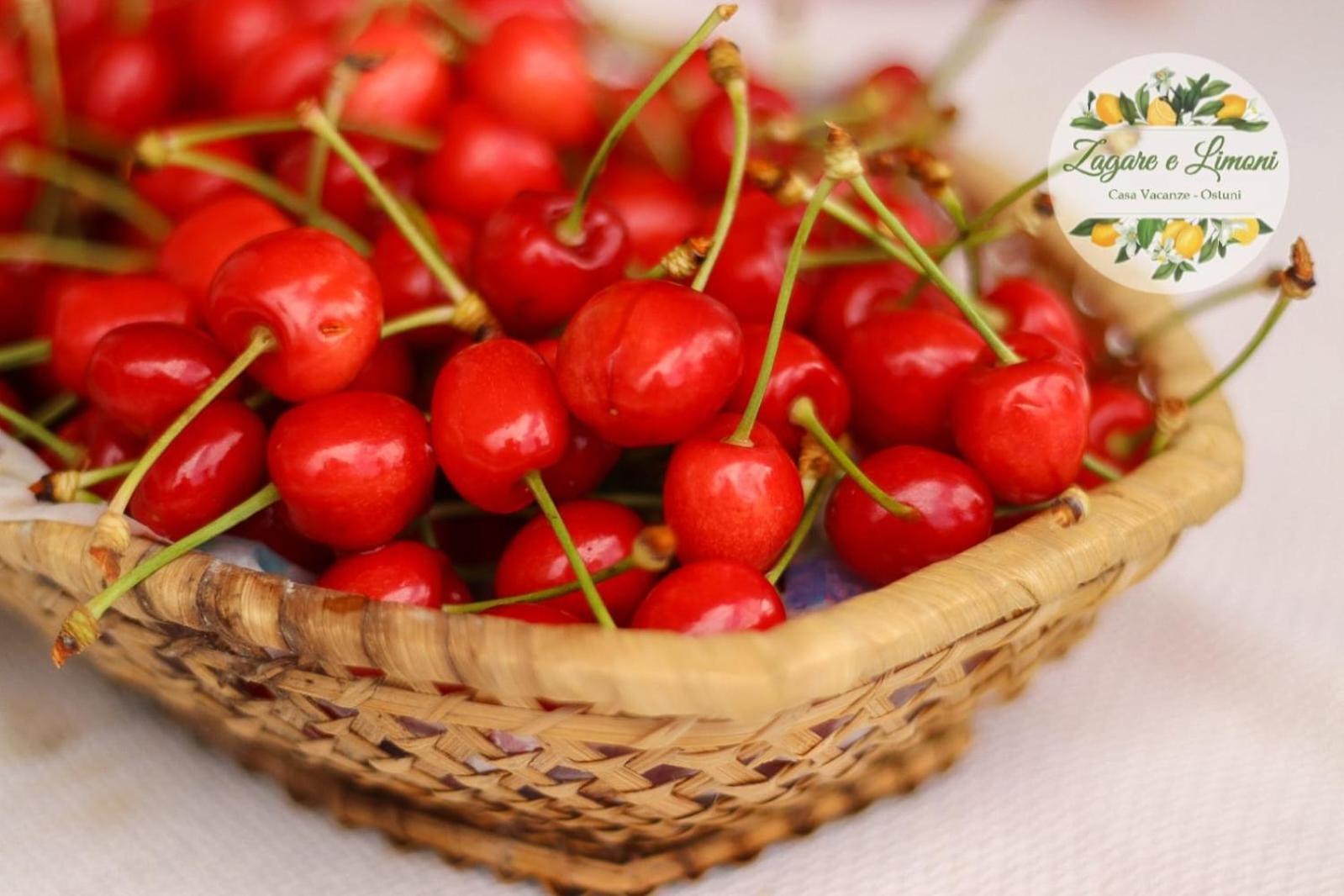 Zagare E Limoni Διαμέρισμα Ostuni Εξωτερικό φωτογραφία