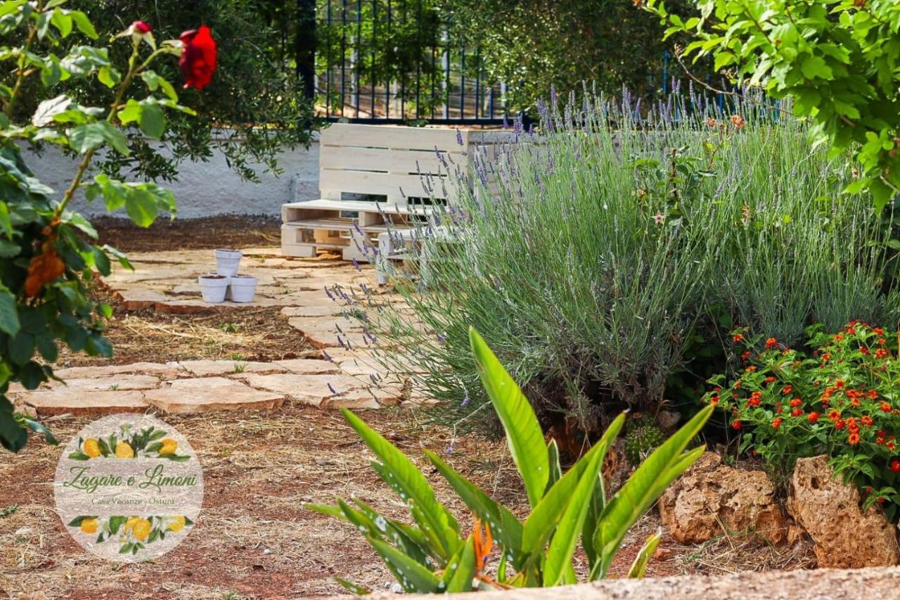Zagare E Limoni Διαμέρισμα Ostuni Εξωτερικό φωτογραφία