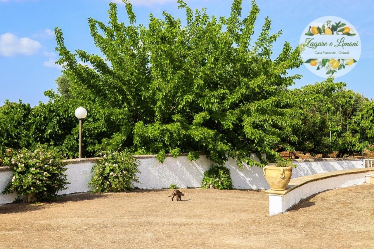 Zagare E Limoni Διαμέρισμα Ostuni Εξωτερικό φωτογραφία