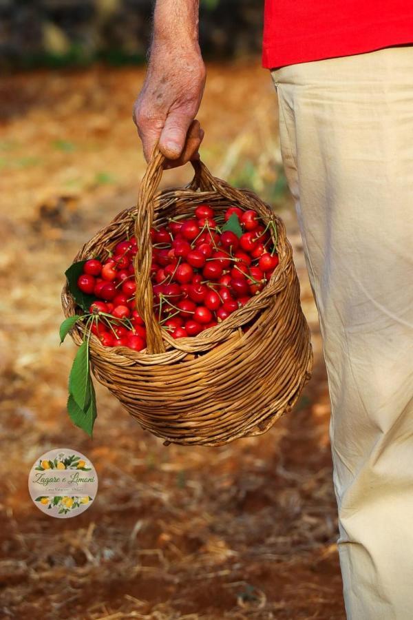 Zagare E Limoni Διαμέρισμα Ostuni Εξωτερικό φωτογραφία